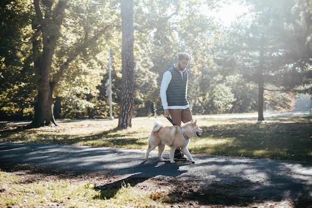 man walking dog